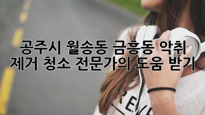 공주시 월송동, 금흥동 악취 제거 청소 전문가의 도움 받기