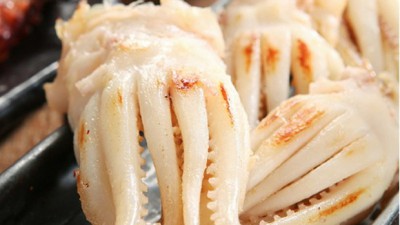 백족 신상! 득템 찬스 놓치지 마세요! ✨