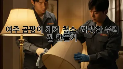 여주 곰팡이 제거 청소, 🏡 깨끗한 우리 집 만들기!